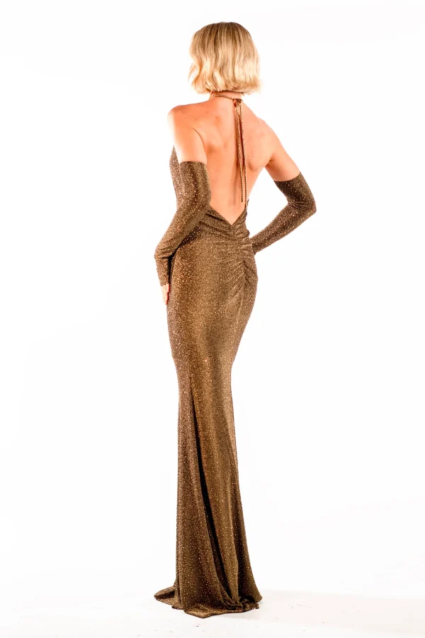 Violeta Bronze Halte Maxi Gown - Image 5