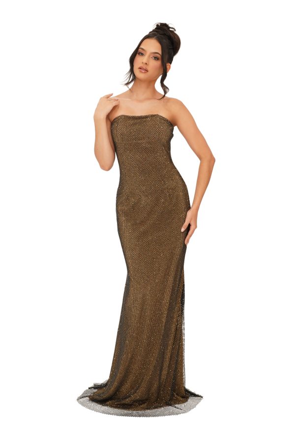 Strapless Crystal Mesh Long Gold Black